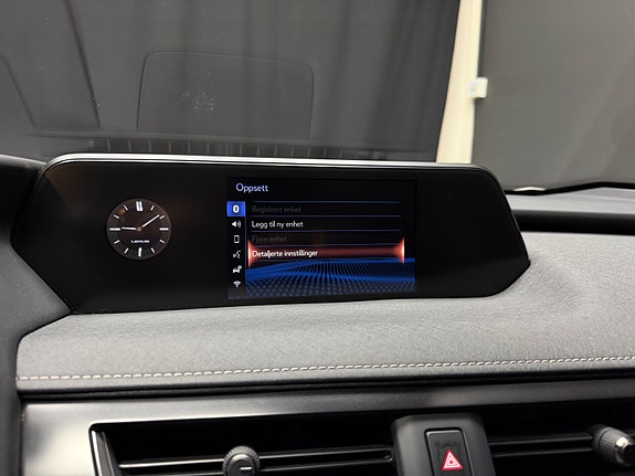 Lexus UX300e 17 of 26
