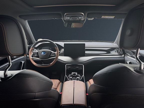 BYD Tang 24 of 30
