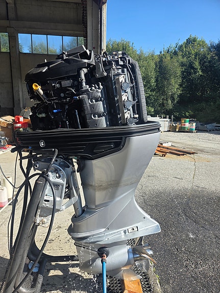 Honda BF 250 D XL stamme - 2023 model 4 of 7
