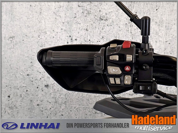 Linhai Landforce 650 | ABS | 4x4 | LED ++ 9 of 10