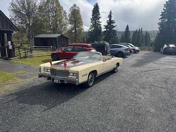 Cadillac Eldorado 19 of 21