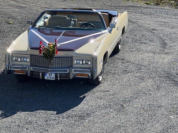 Cadillac Eldorado 21 of 21