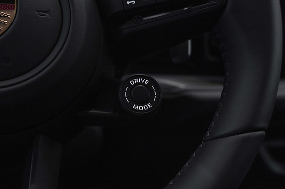 Porsche Cayenne 19 of 30