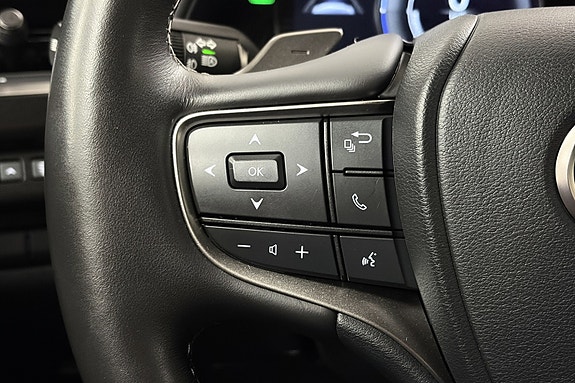 Lexus UX300e 17 of 30