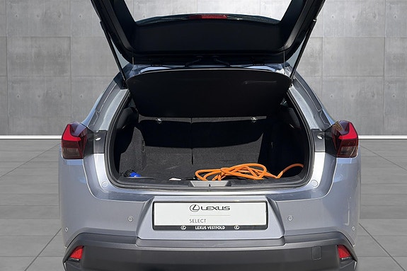 Lexus UX300e 21 of 22