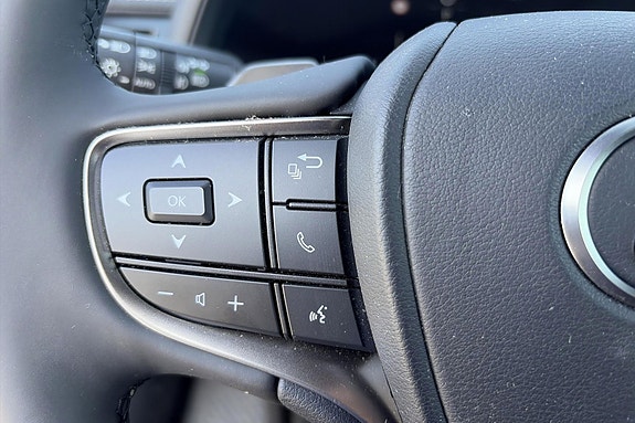 Lexus UX300e 13 of 22