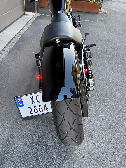 Harley-Davidson XL 1200X Forty-Eight 8 of 15