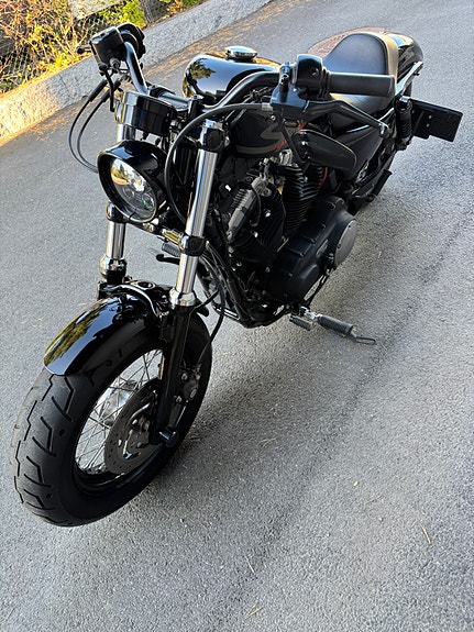 Harley-Davidson XL 1200X Forty-Eight 4 of 15