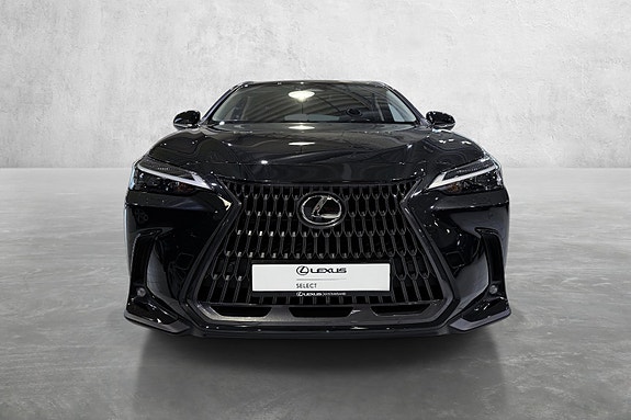 Lexus NX450h 8 of 19