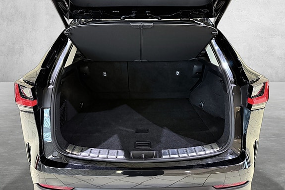 Lexus NX450h 17 of 19