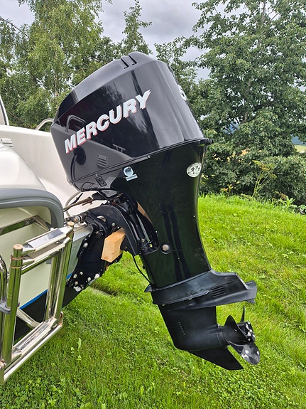 2007 Mercury 50 EFI 2 of 8