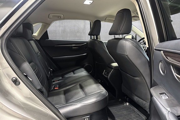 Lexus NX300h 19 of 22