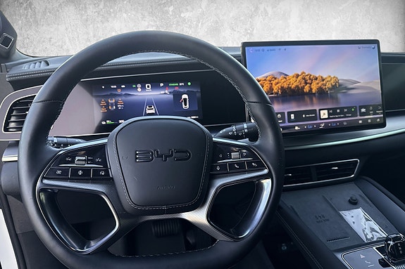 BYD Sealion 7 14 of 20
