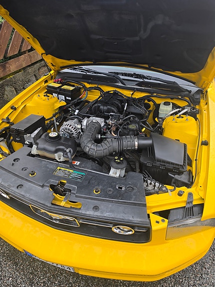 Ford Mustang 24 of 25