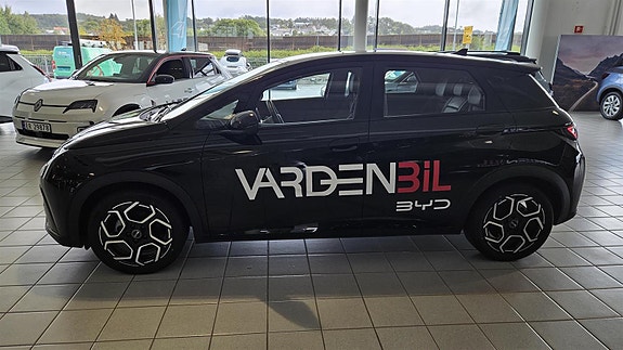 BYD Dolphin 4 of 30