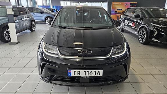 BYD Dolphin 2 of 30