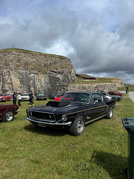 Ford Mustang 5 of 5