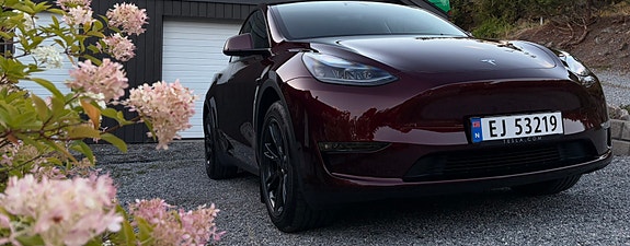 Tesla Model Y 5 of 25