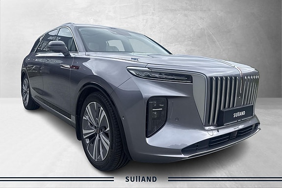 Hongqi E-HS9 22 of 24