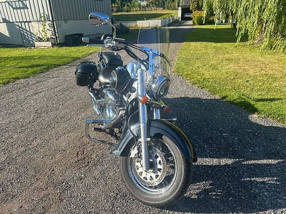 Suzuki VL 800 Intruder 3 of 11