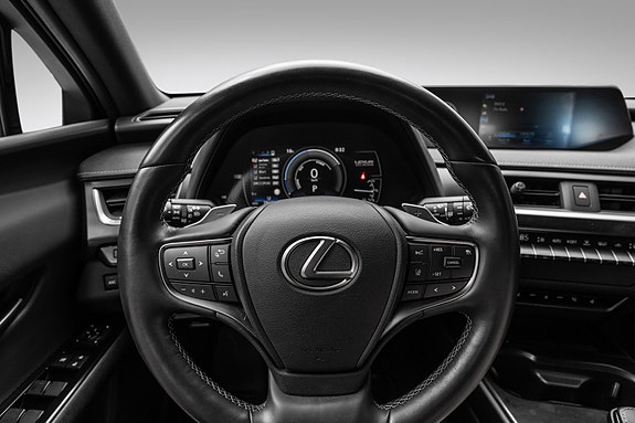 Lexus UX300e 16 of 25