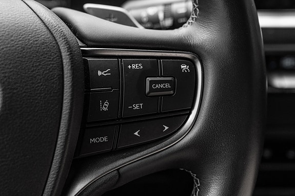 Lexus UX300e 17 of 25