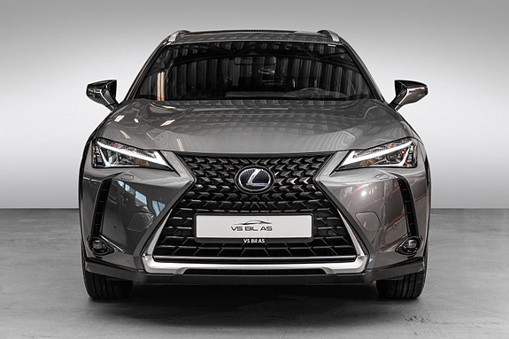 Lexus UX300e 3 of 25