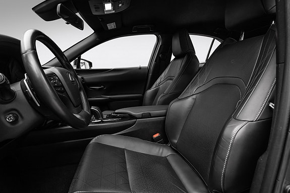 Lexus UX300e 10 of 25