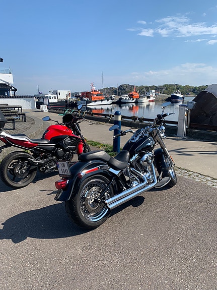 Harley-Davidson FLSTF Fat Boy 6 of 7