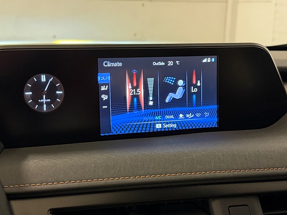 Lexus UX300e 19 of 30