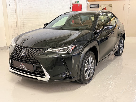 Lexus UX300e 9 of 30