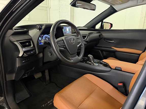 Lexus UX300e 16 of 30
