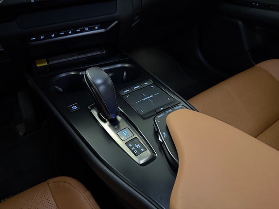 Lexus UX300e 17 of 30