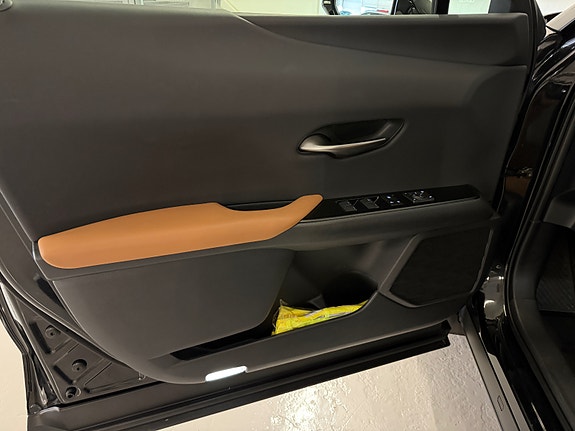 Lexus UX300e 23 of 30