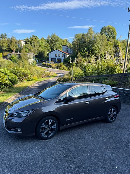 Nissan Leaf 3 of 21