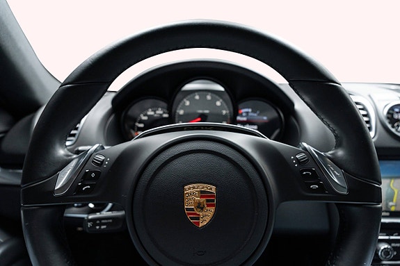 Porsche Cayman S 16 of 30