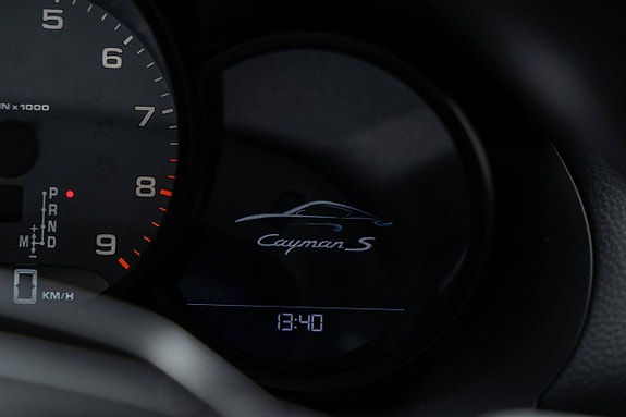 Porsche Cayman S 28 of 30