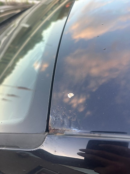 Volkswagen Passat Alltrack 6 of 14