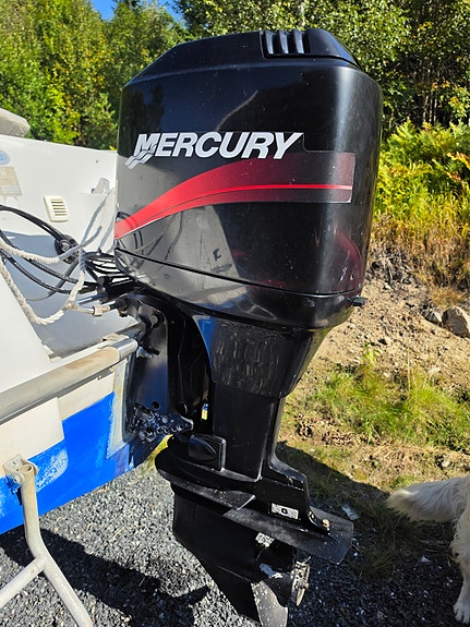 Askeladden 585 Explorer med 115 HK Mercury 2-takt 2005 6 of 27