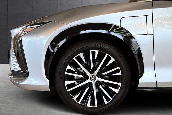 Lexus RZ450e 20 of 20