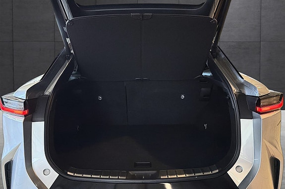 Lexus RZ450e 19 of 20