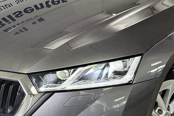 Skoda Octavia 7 of 30