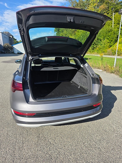 Audi e-tron 8 of 21