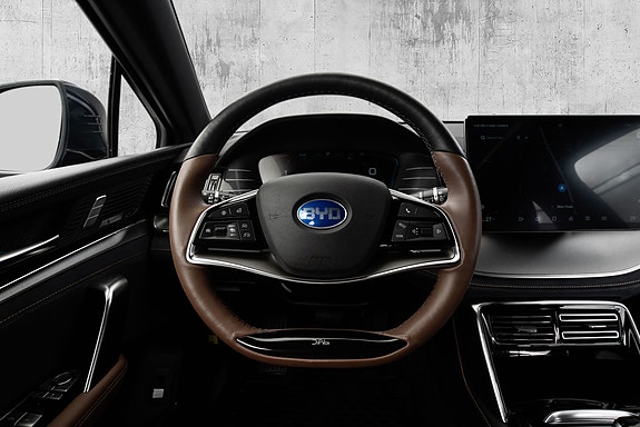 BYD Tang 20 of 27