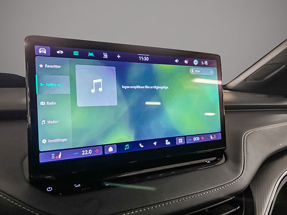 Skoda Enyaq RS 21 of 30