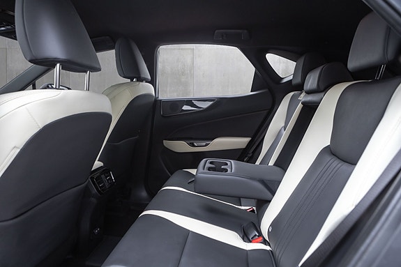 Lexus NX450h 21 of 30