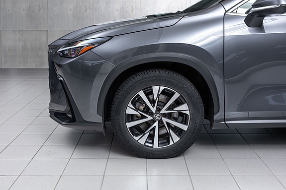 Lexus NX450h 9 of 30