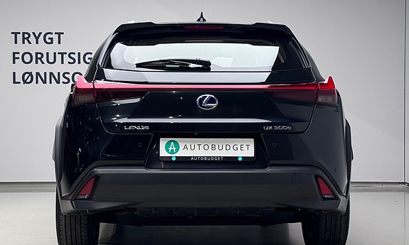Lexus UX300e 8 of 30