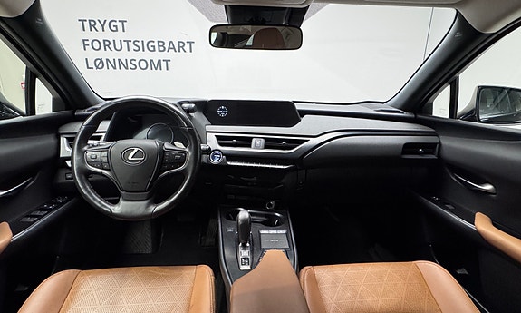 Lexus UX300e 19 of 30