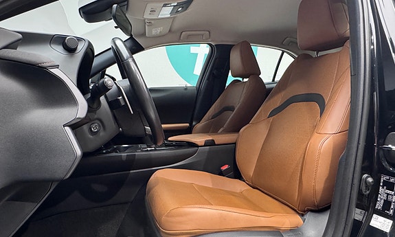 Lexus UX300e 14 of 30